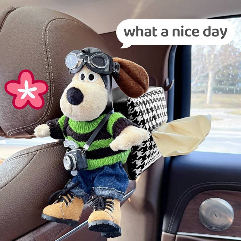 Black tissue box + green and black striped jeans dog + flash camera (shoes)